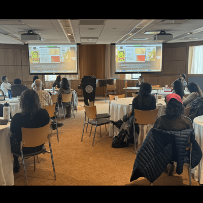 An image of the room where the NULab 2024 Spring Conference was held